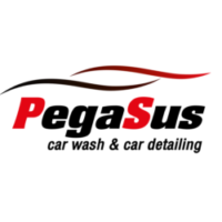 https://www.pegasuscarwash.com/wp-content/uploads/2020/03/cropped-logo-pegasus-02-1024x724-1-e1669005275678.png