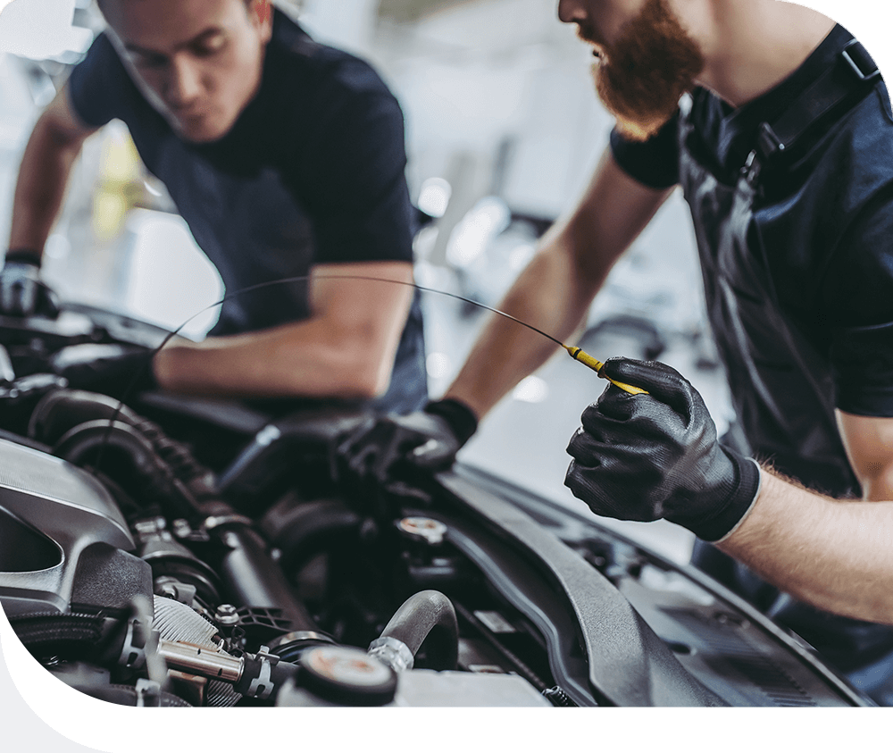 https://www.pegasuscarwash.com/wp-content/uploads/2021/11/home_09_price_03.png